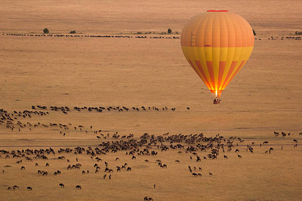 Hot Air Balloon Safari