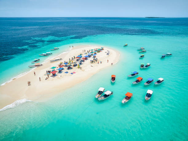 6 Day Beach & Safari: Nyerere NP to Zanzibar Island